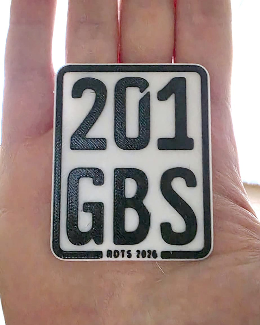 Echtes Foto: E-Scooter-Deko-Kennzeichen 201 GBS in der Hand – Größenvergleich